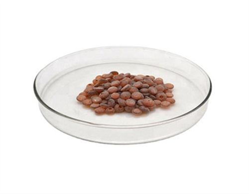 Togo grand stock 26780-96-1 caoutchouc antioxydant rd